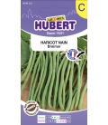 Haricot Nain Braimar 50 Graines