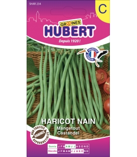 Haricot Nain Mangetout Castandel