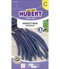 Haricot Nain Amethyst ©Image protégée téléchargement interdit !