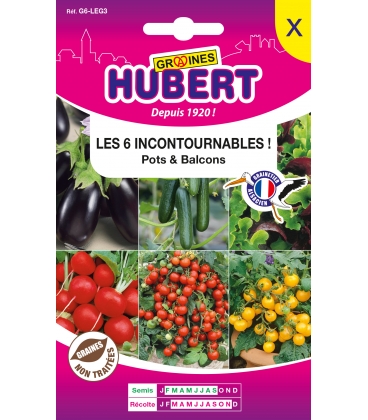 Les 6 Incontournables Pour Pots & Balcons