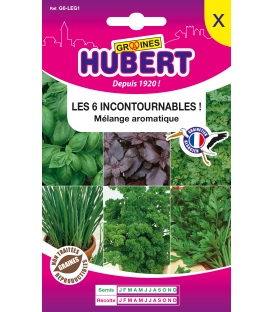 Les 6 Incontournables "Aromatiques"