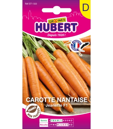 Carotte Jeanette F1 - Nantaise