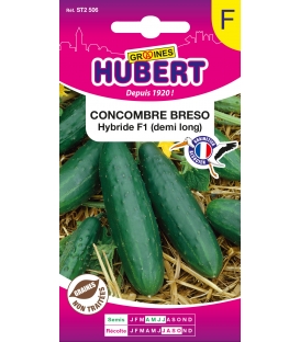 Concombre Breso Hybride F1