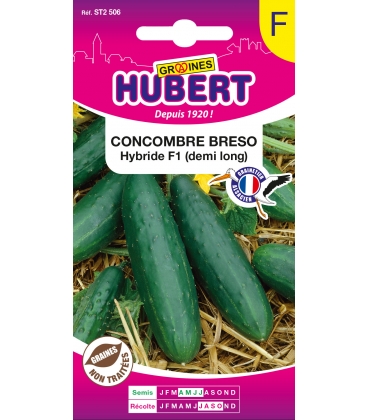 Concombre Breso Hybride F1