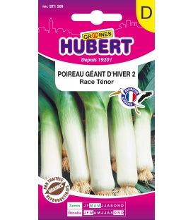 Poireau Ténor - Géant d'Hiver 2
