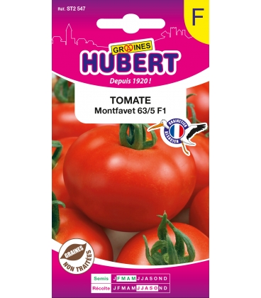 Tomate Montfavet 63/5 F1 (I.N.R.A.)