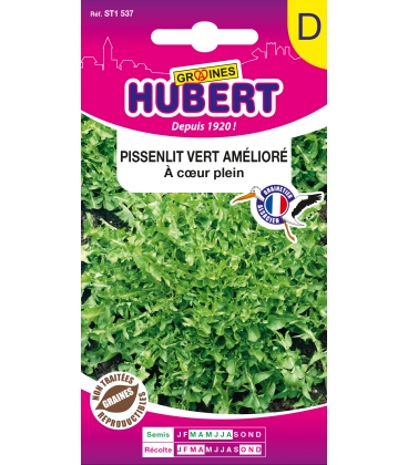 Pissenlit Vert Amelior&eacute; &agrave; Coeur Plein
