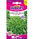 Pissenlit Vert Amelioré à Coeur Plein ©Images protégées téléchargement interdit !