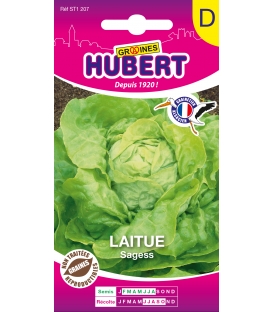 Laitue Pommée Sagess