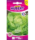 Laitue Pommée Sagess