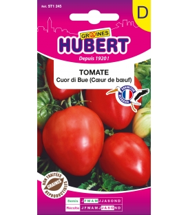 Tomate Cuor Di Bue (Coeur de Boeuf)