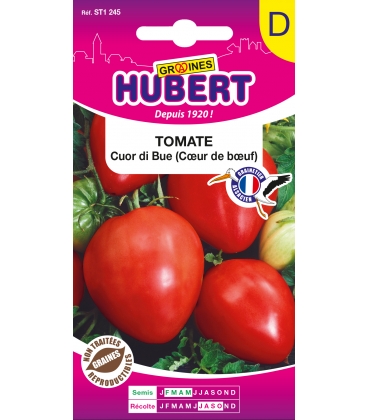 Tomate Cuor Di Bue (Coeur de Boeuf)