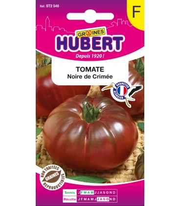 Tomate Noire de Crim&eacute;e