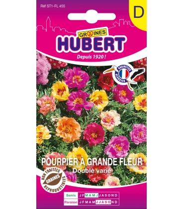 Pourpier &agrave; Grande Fleur Double Vari&eacute;
