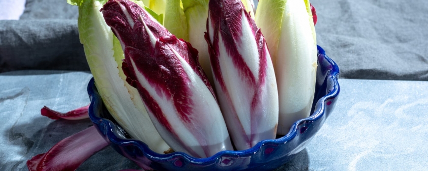 4 astuces pour un forçage des endives rapide et efficace